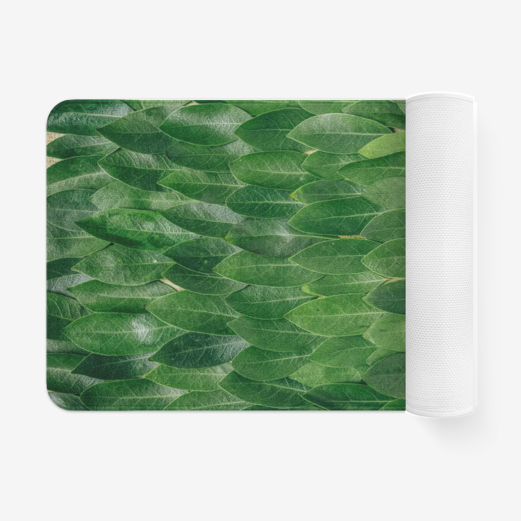 Leaf3