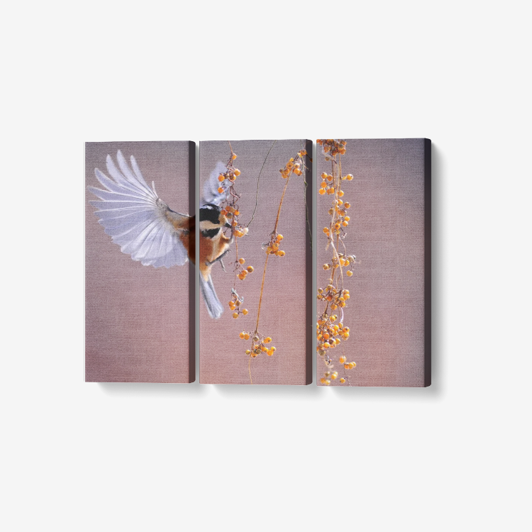 Hummingbirds