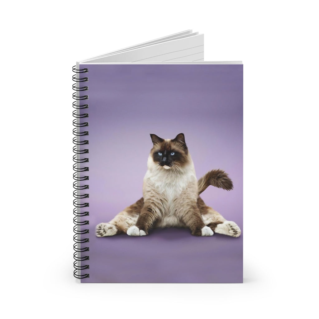 Spiral Notebook Perfect for Office Home School Business Writing & Note Taking New Parents College Ruled Paper