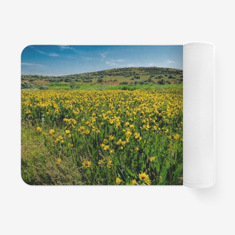 Flower Garden
