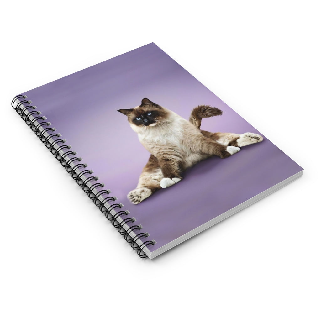 Spiral Notebook Perfect for Office Home School Business Writing & Note Taking New Parents College Ruled Paper