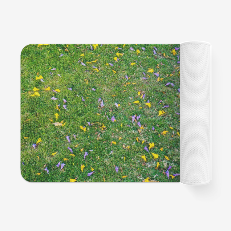 Meadow1