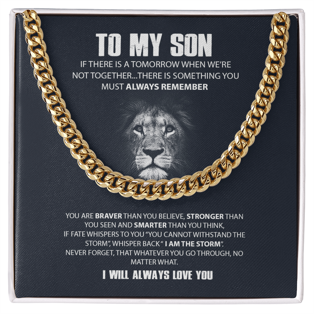 TOMYSONLION-01