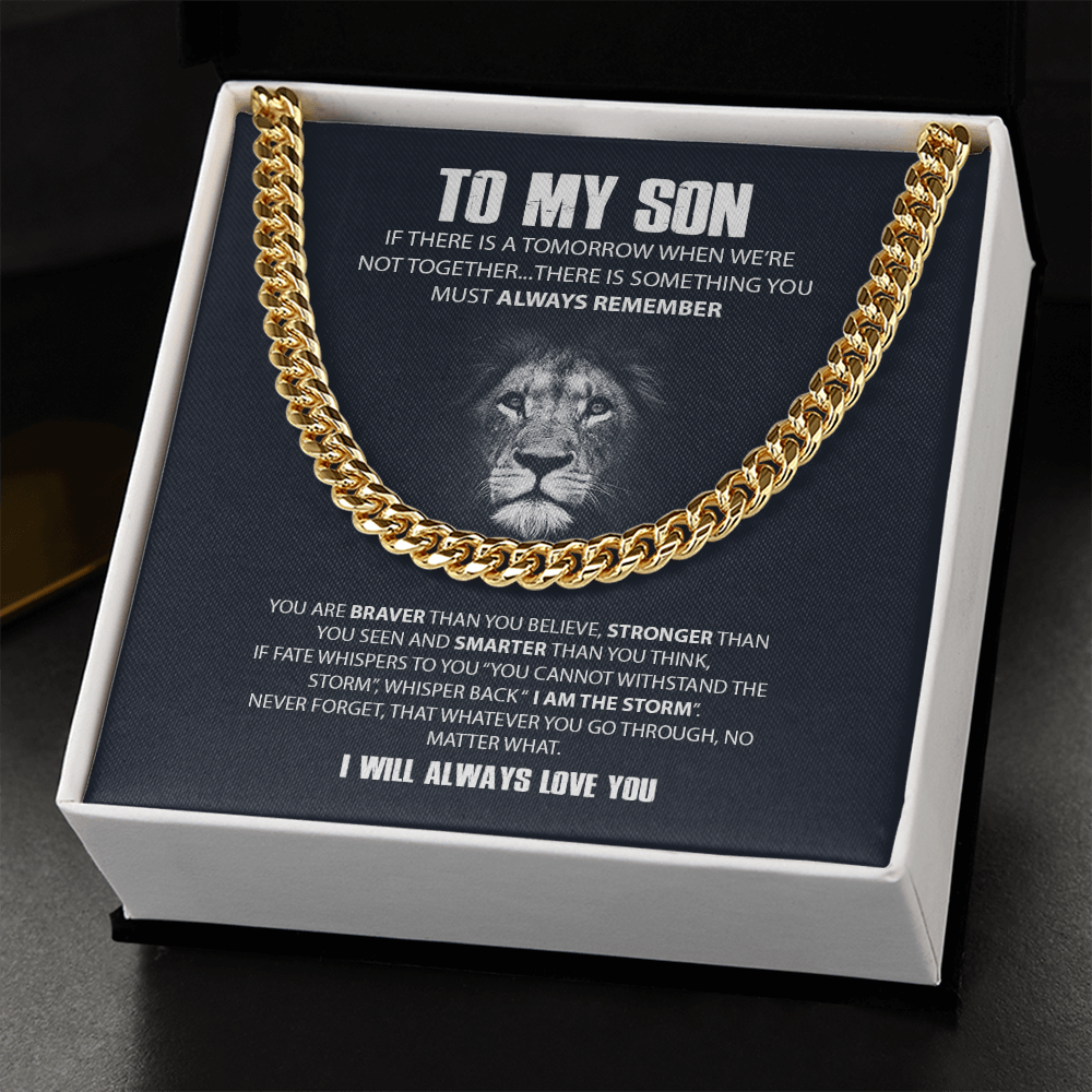TOMYSONLION-01