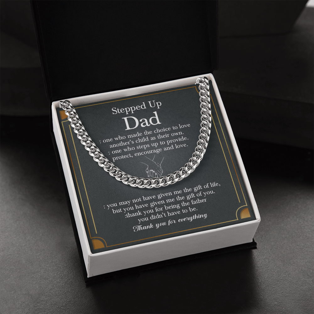 stepupdad05