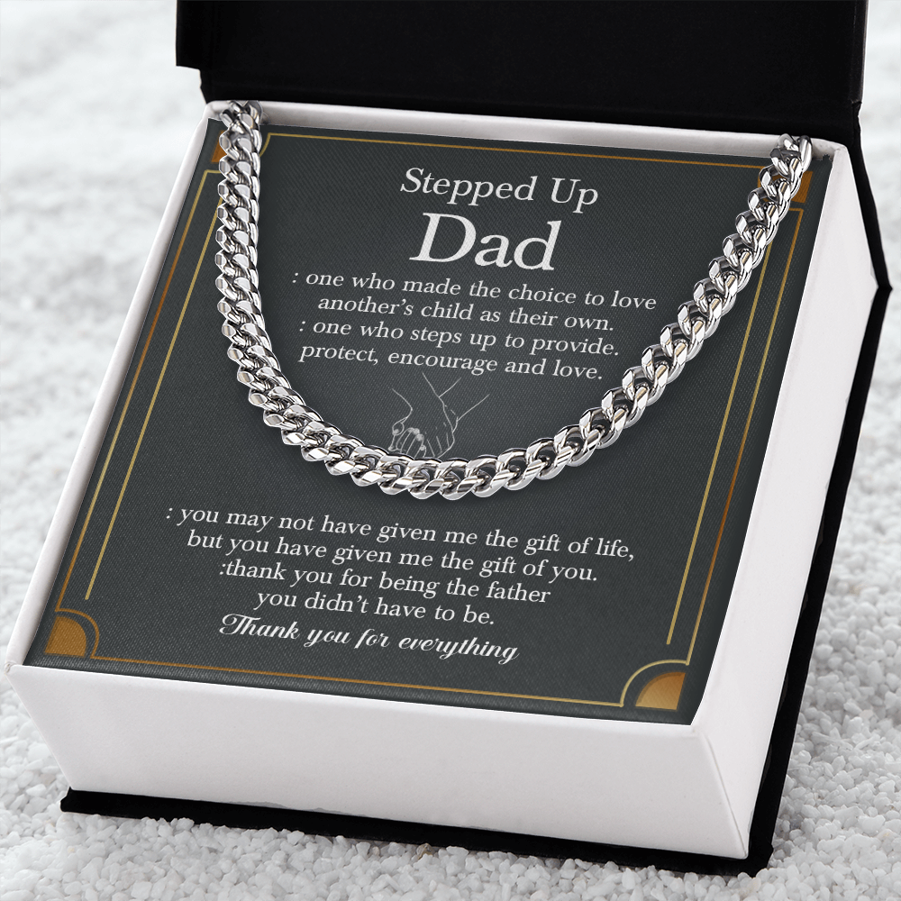 stepupdad05