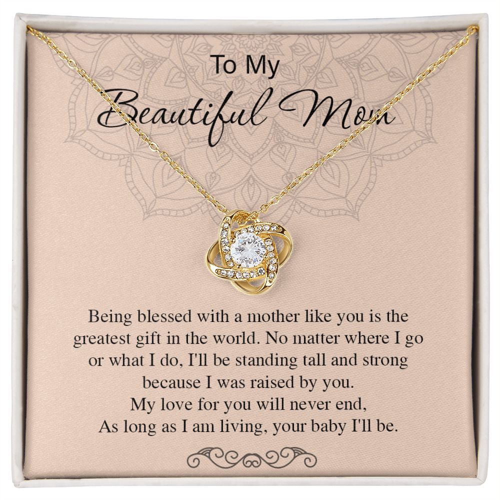 tomymom270223-03
