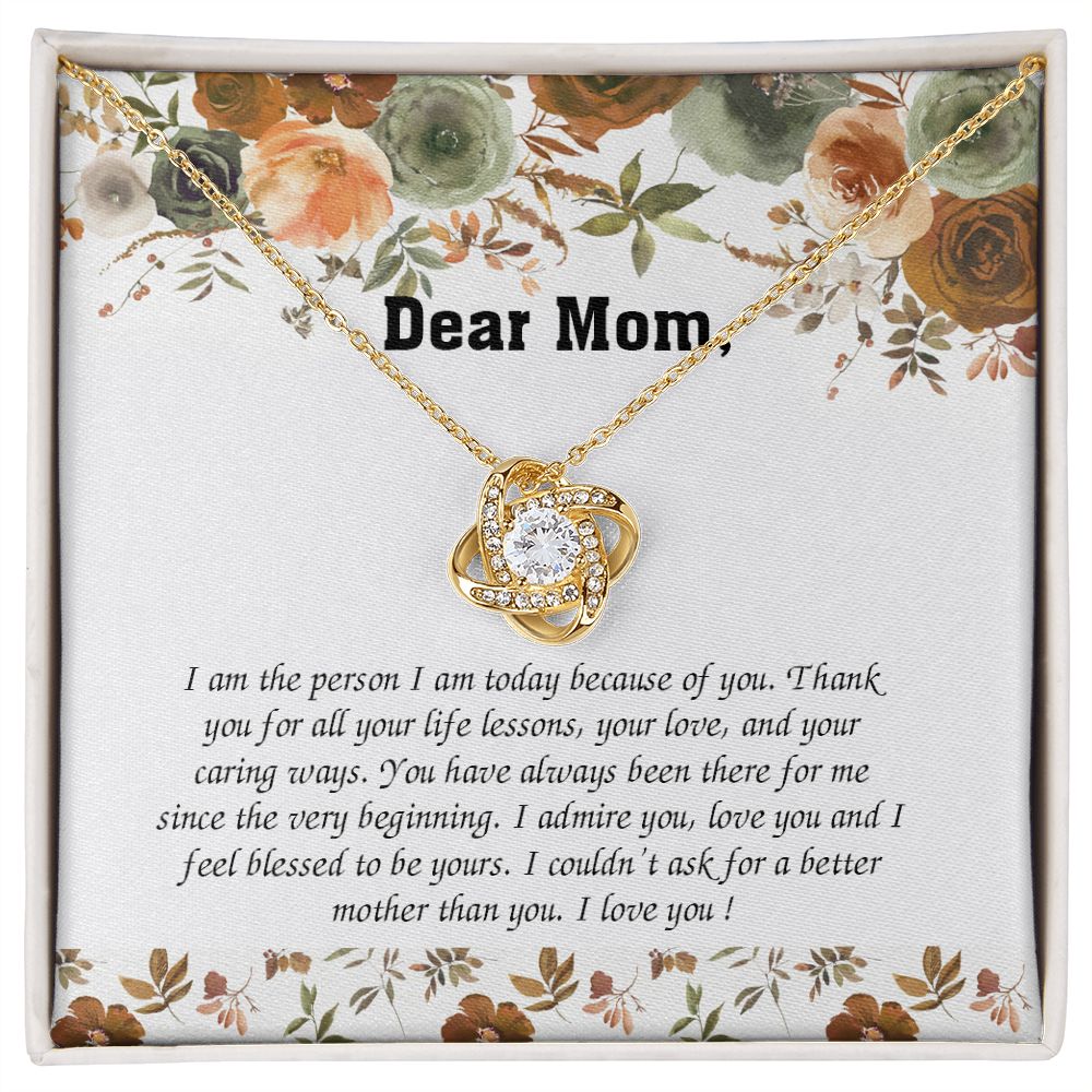 tomymom270223-02