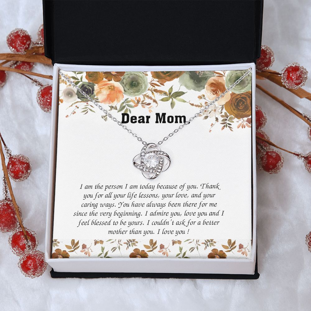 tomymom270223-02