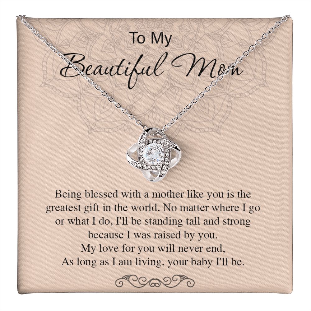 tomymom270223-03