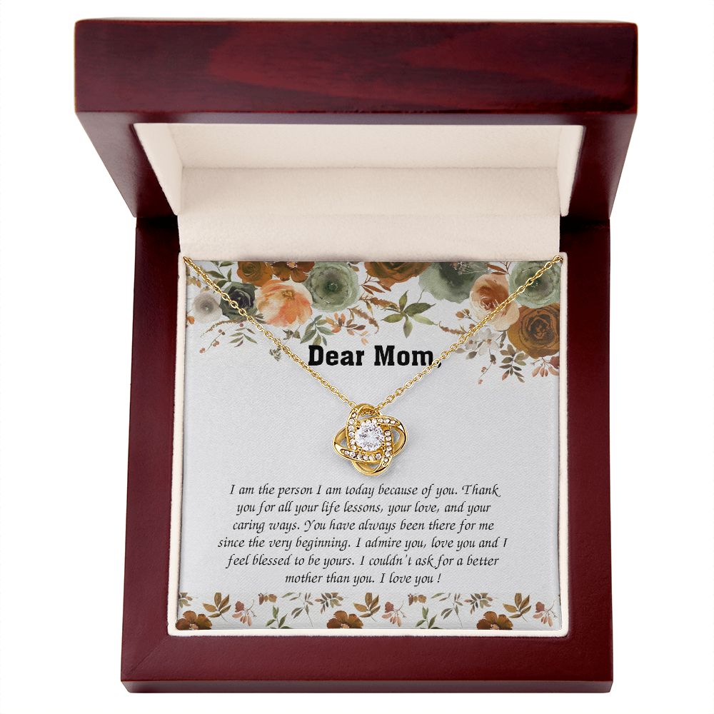 tomymom270223-02