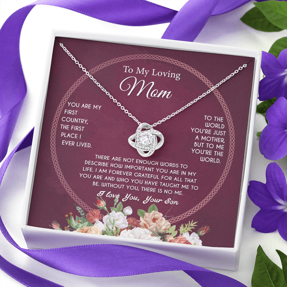 TomyLovingMom2