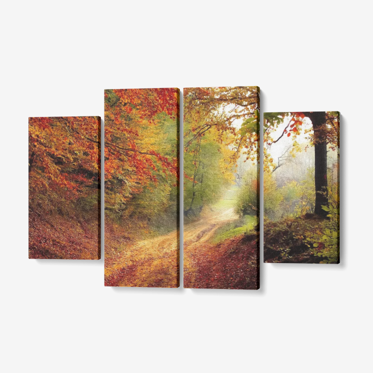 Maple Forest