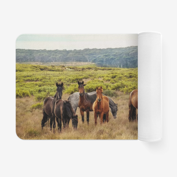 Horses