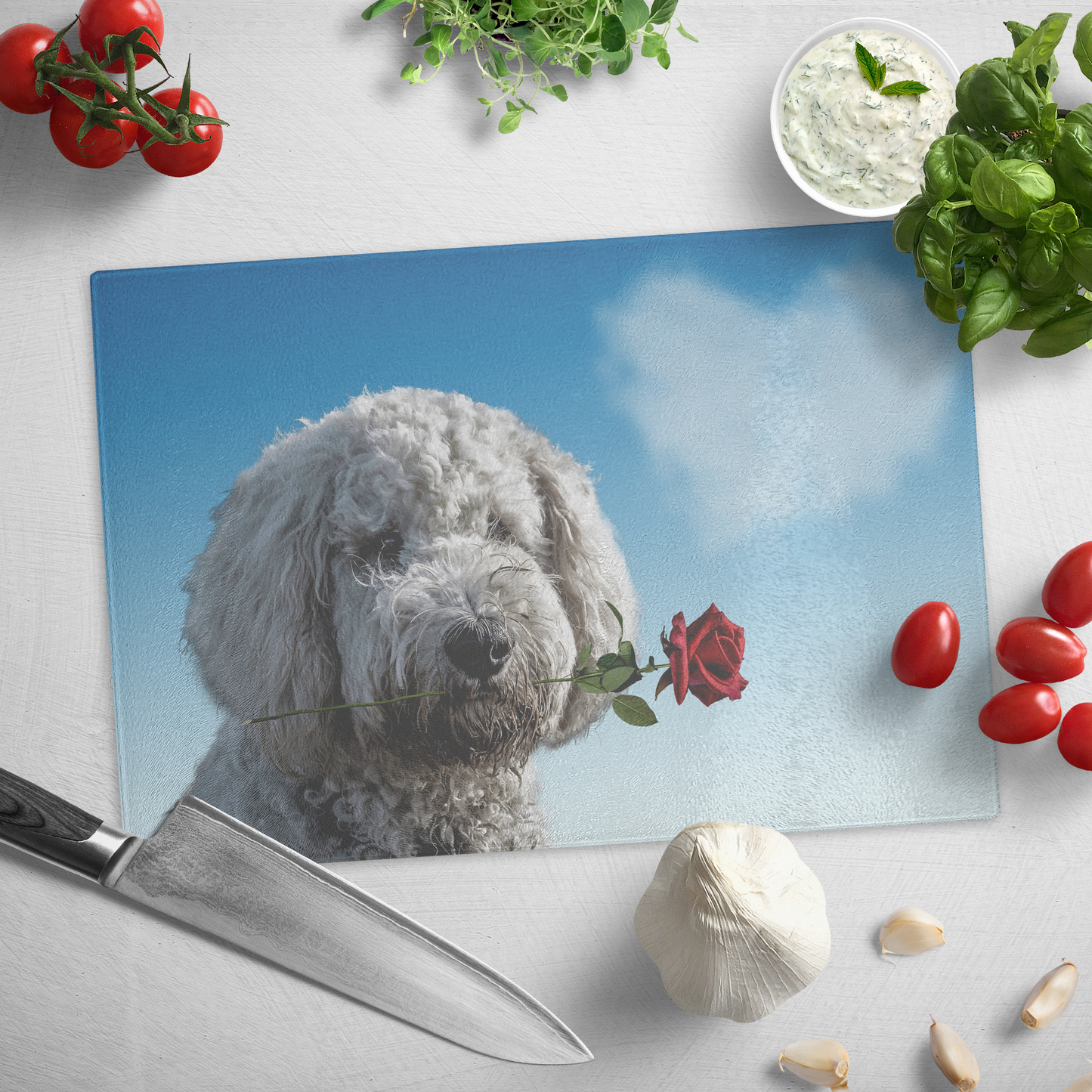 Dog Fall in Love