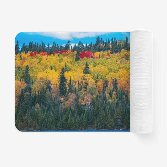 Colorful Forest
