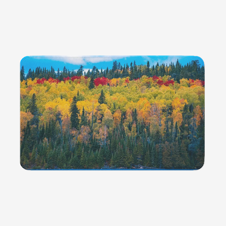 Colorful Forest