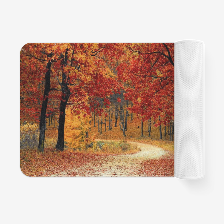 Maple Forest