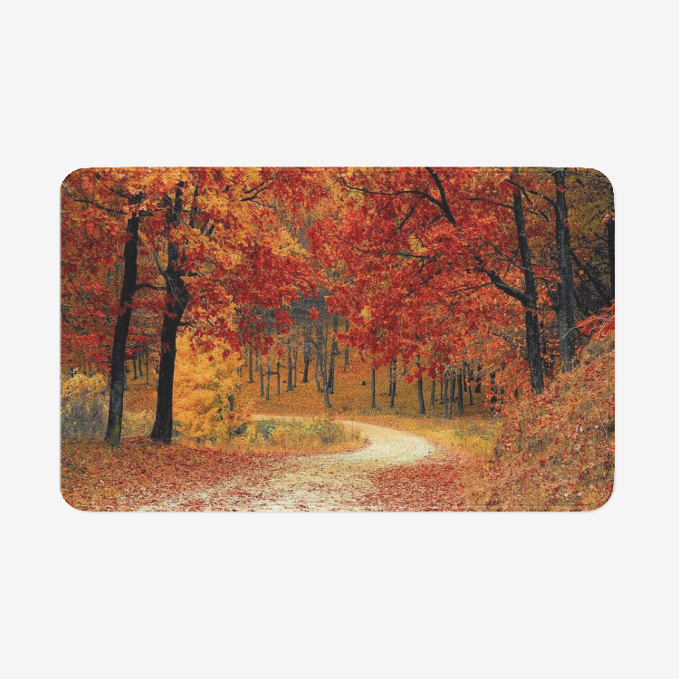 Maple Forest