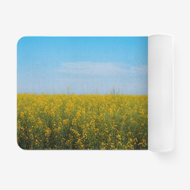 Landscape1112