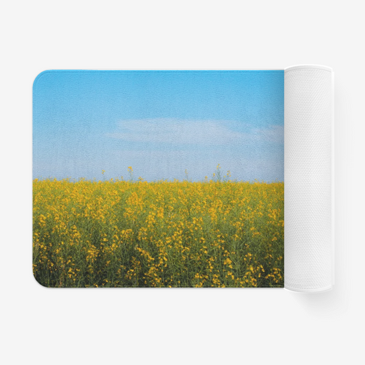 Landscape1112