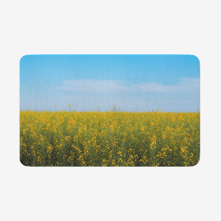 Landscape1112