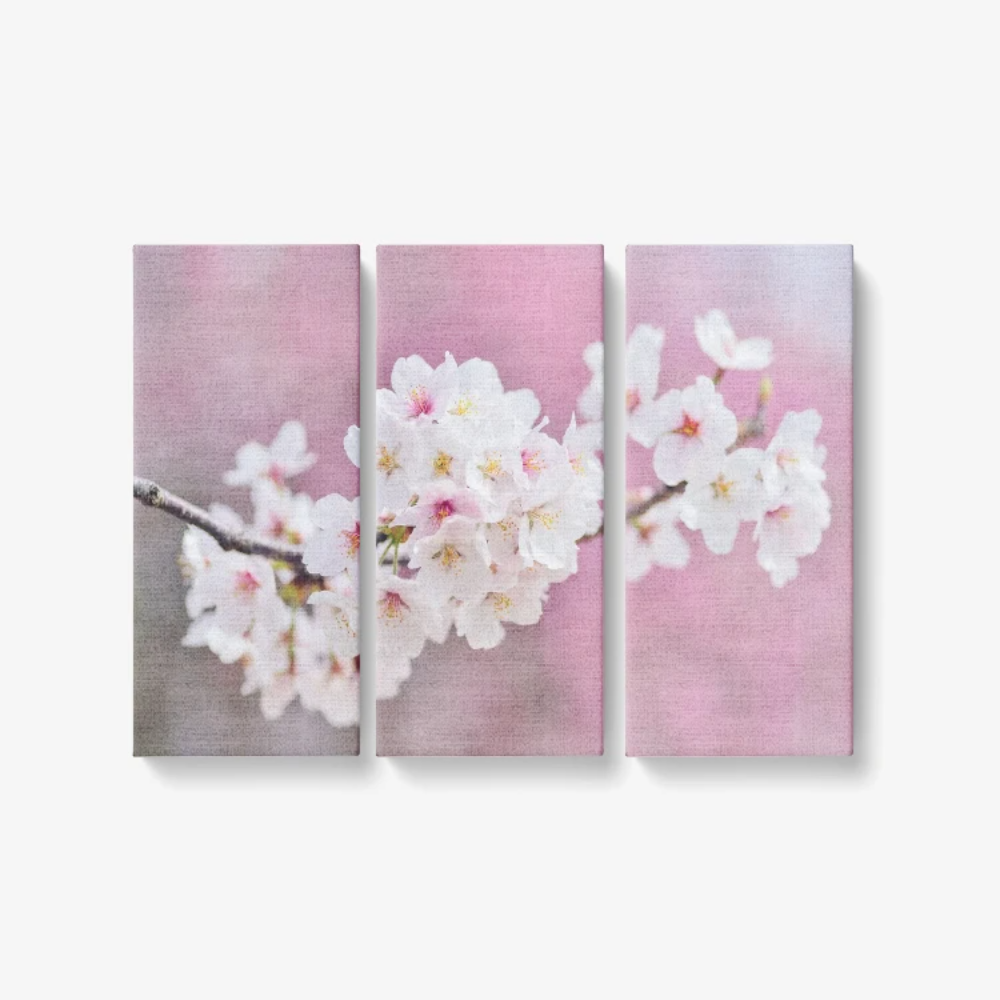 Blossom