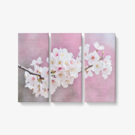 Blossom