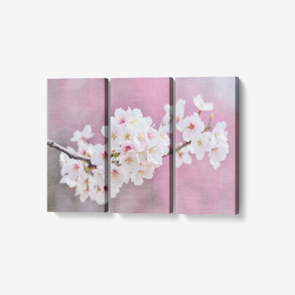 Blossom