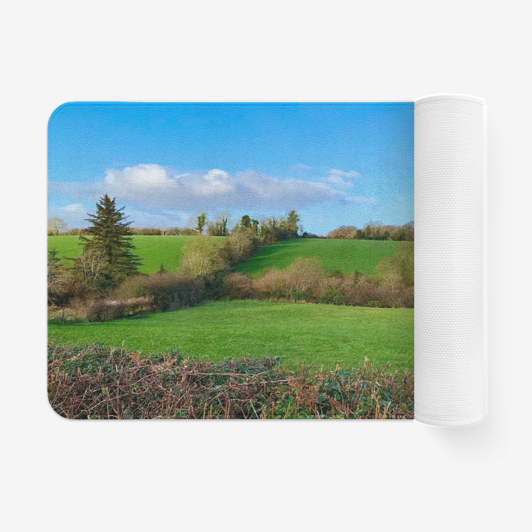 Landscape1113