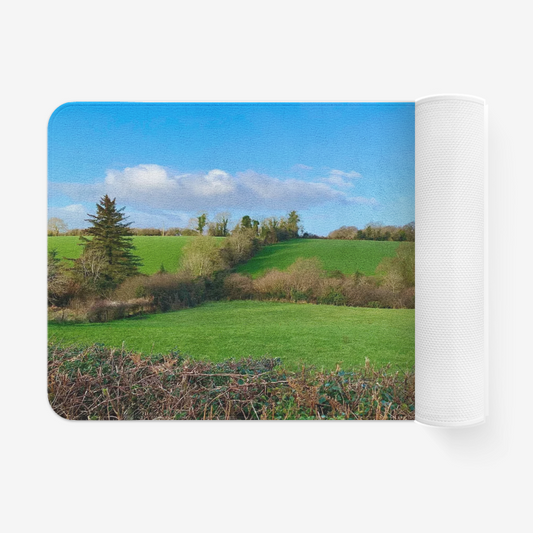 Landscape1113