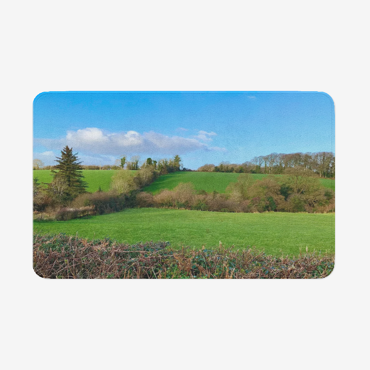 Landscape1113