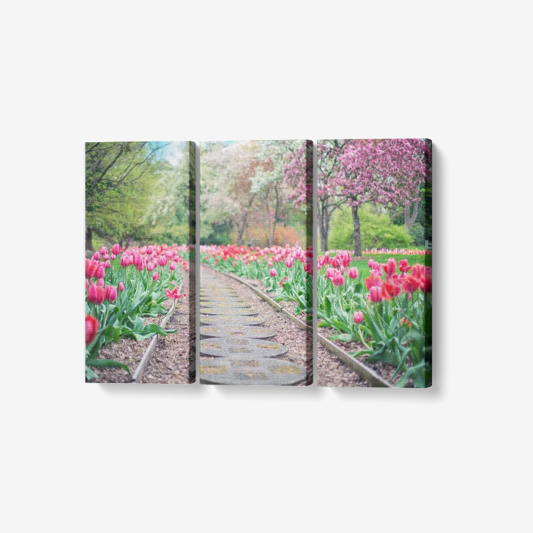flower garden