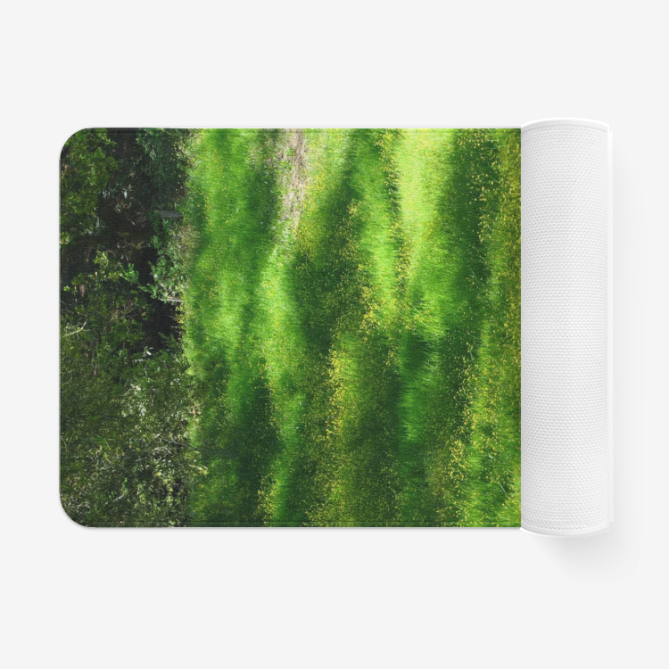 Meadow1455