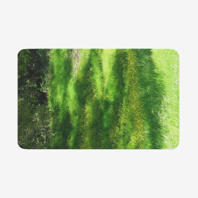 Meadow1455