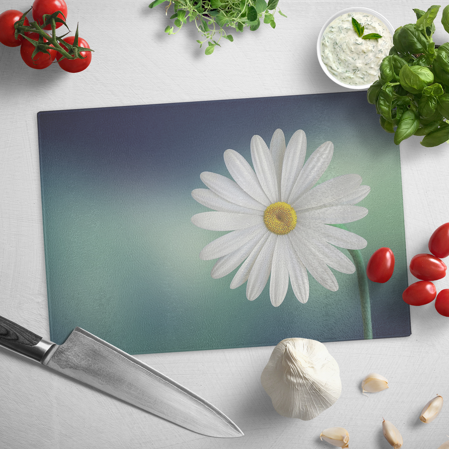 Chrysanthemum flowers