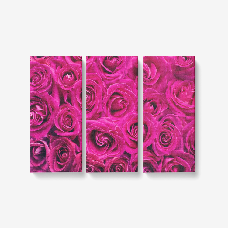 Roses