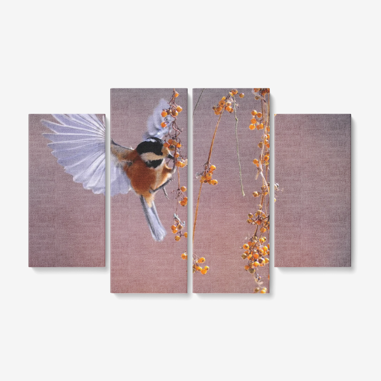 HummingBird