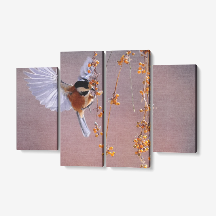 HummingBird
