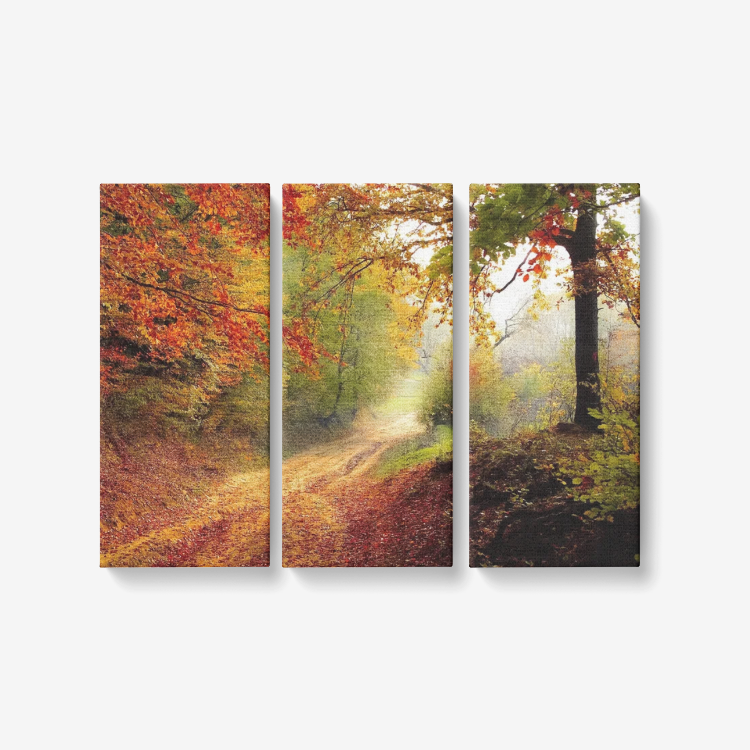 Autumn Forest