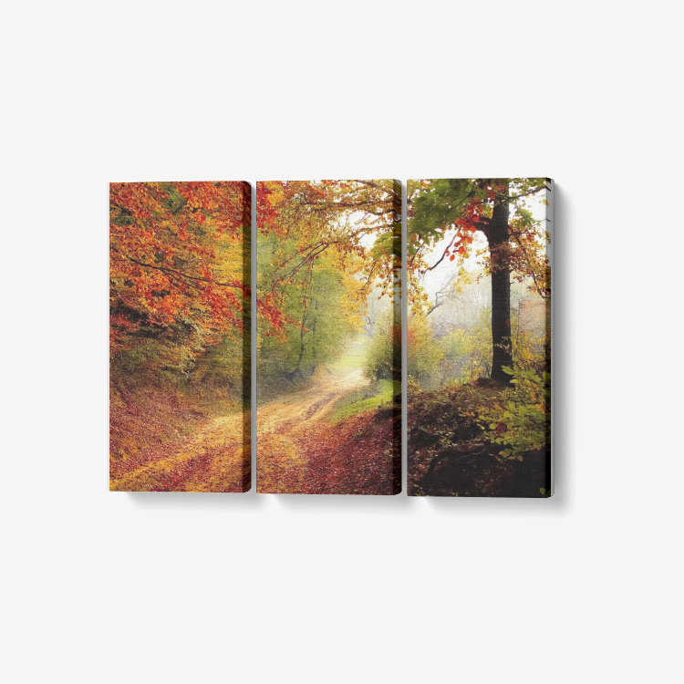 Autumn Forest
