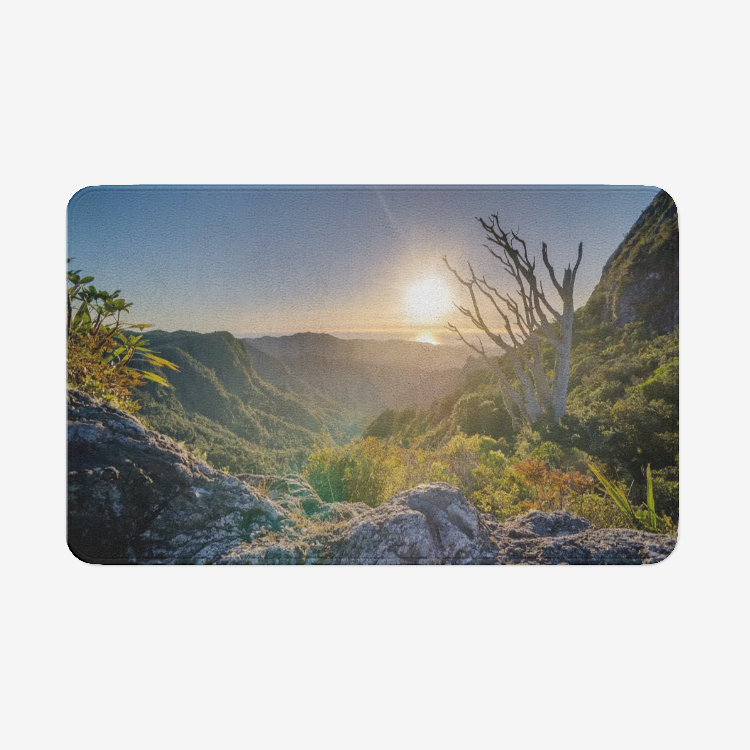 Landscape1136