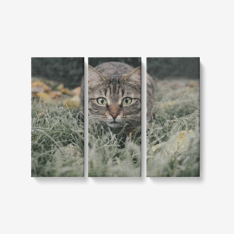 Hunting Cat