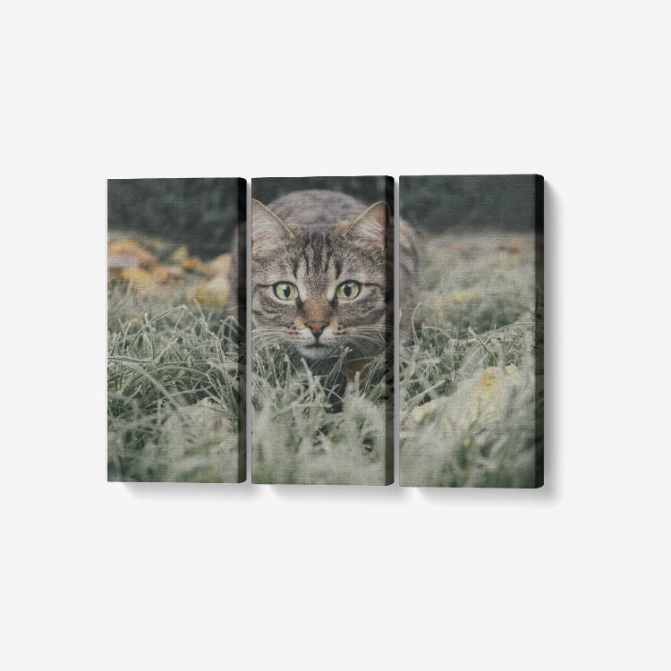 Hunting Cat