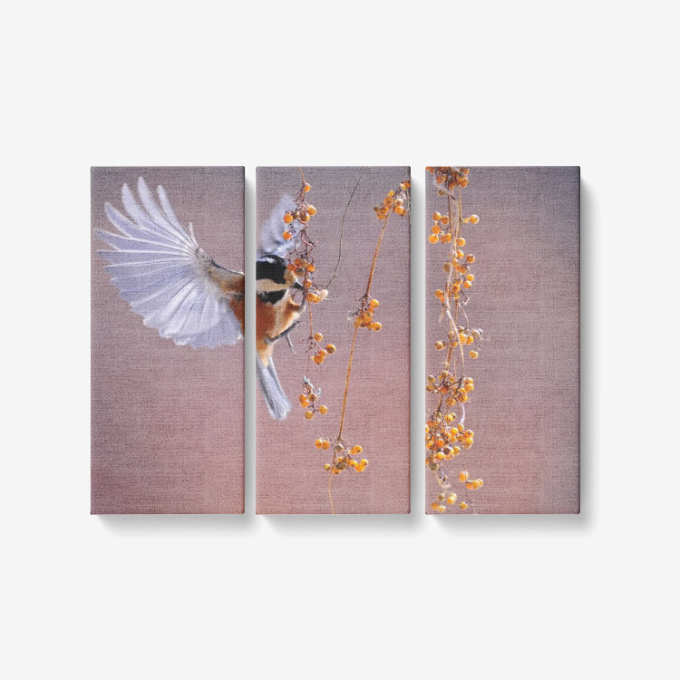 Hummingbirds