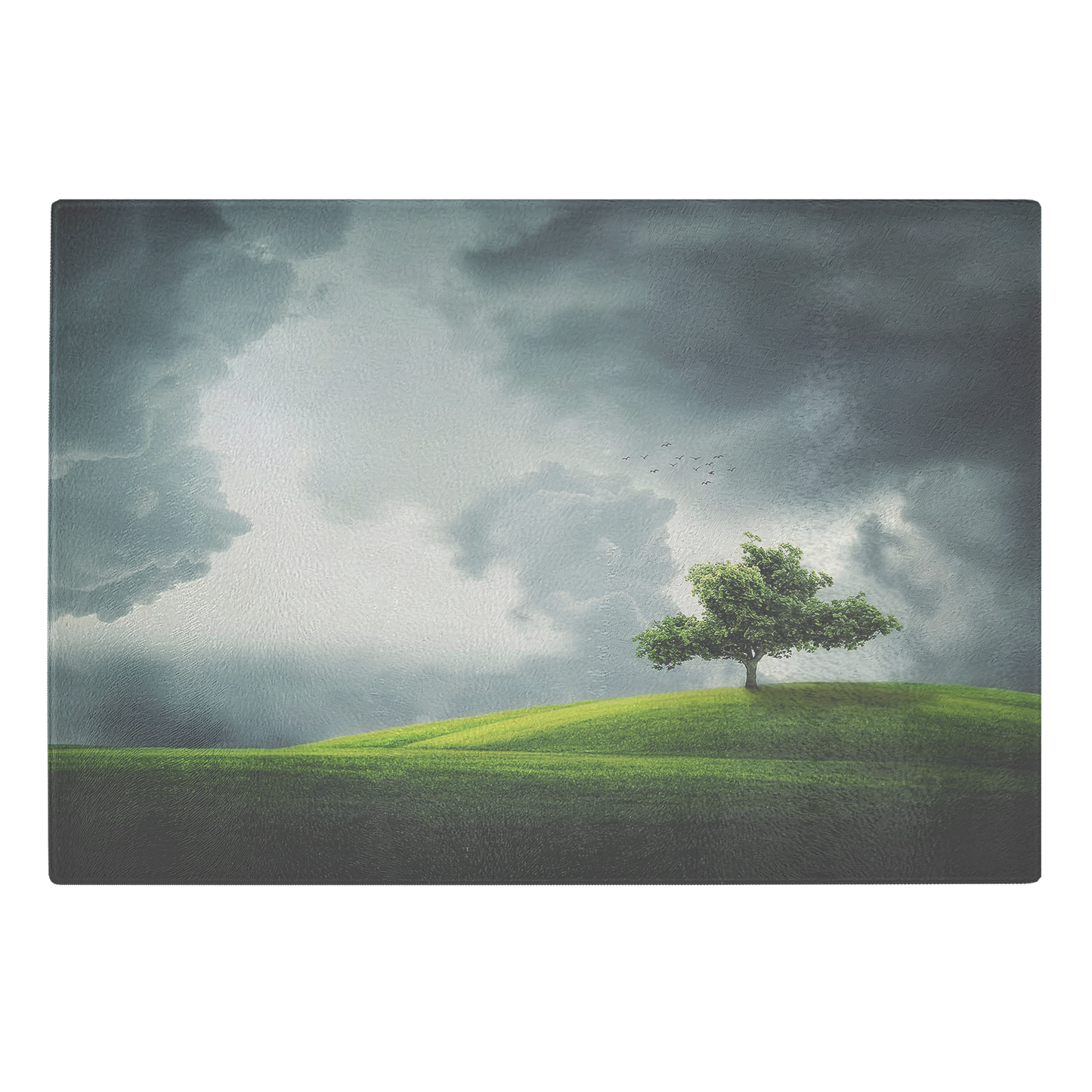 Cloudy Landscape
