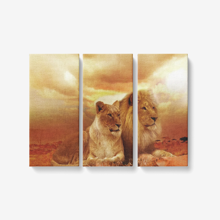 Lions