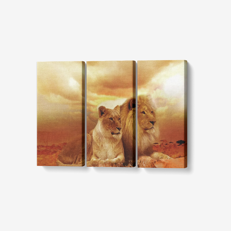 Lions