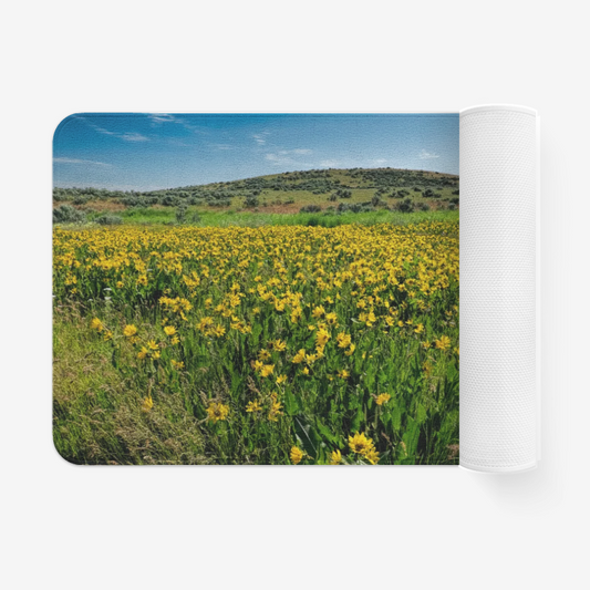 Flower Garden