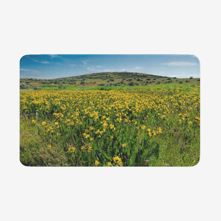 Flower Garden